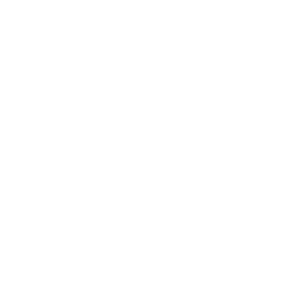 SteerBridge Strategies logo